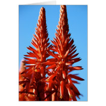Red Towers Card