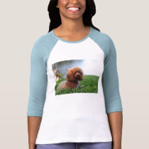 Red Toy Poodle Shirt by tkgold Red Toy Poodle Shirt