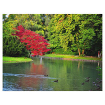 Red tree flyer