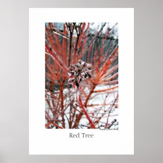 Red Tree print