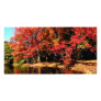 Red Trees by Lake Customized Photo Card