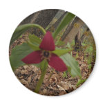 Red Trillium Refrigerator Magnets
