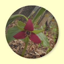 Red Trillium magnets