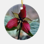 Red Trillium (Trillium Erectum) flowers Christmas Tree Ornament