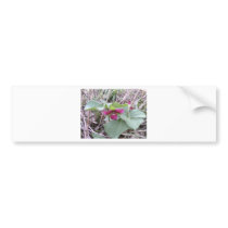 Red Trilliums bumper stickers by eelkat Red Trilliums bumper stickers
