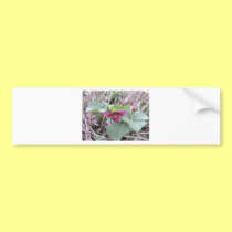 Red Trilliums bumper stickers