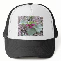 Red Trilliums hats by eelkat Red Trilliums hats