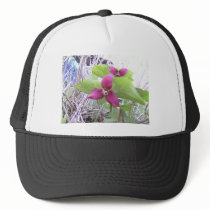 Red Trilliums hats by eelkat Red Trilliums hats
