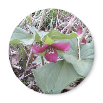 Red Trilliums magnets