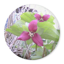 Red Trilliums magnets
