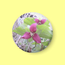 Red Trilliums magnets