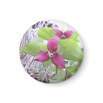Red Trilliums magnets