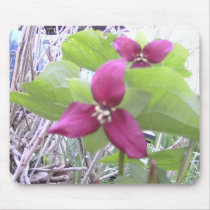 Red Trilliums mousepads