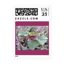 Red Trilliums postage