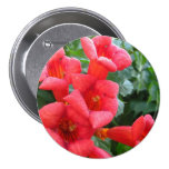 Red Trumpet Flower buttons