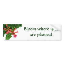 Red Trumpet Vine bumper stickers by CarolsCamera Red Trumpet Vine bumper stickers