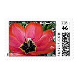 Red Tulip Art Postage