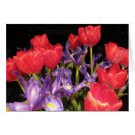 Red Tulip Bouquet I cards