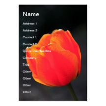 Red tulip business cards