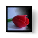 Red Tulip buttons by Regella Red Tulip buttons