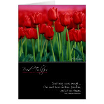 Red Tulip Card with Quote cards