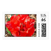 Red Tulip Close-up Stamps