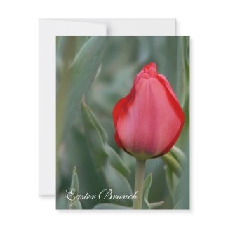 Red Tulip Easter Brunch Invitations invitation
