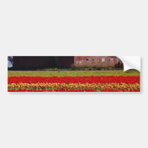 Red Tulip farm, Mt. Vernon, Washington flowers Bumper Sticker