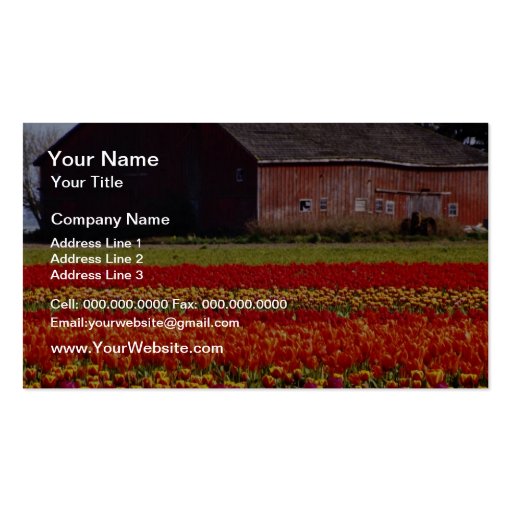Red Tulip farm, Mt. Vernon, Washington flowers Business Cards (front side)