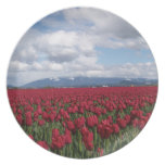 Red Tulip Field Dinner Plate