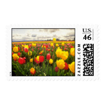 Red Tulip field in Oregon flowers Stamps