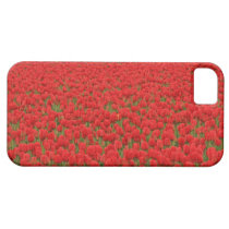 Red Tulip Field iPhone 5 Case casemate cases