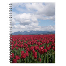 Red Tulip Field Note Books