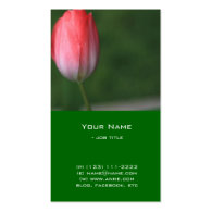 red tulip flower in green background business card template