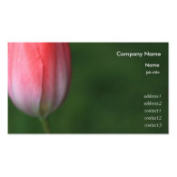 red tulip flower in green background business card template