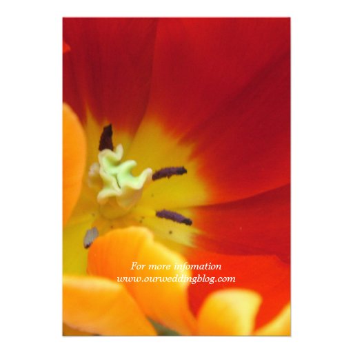 Red tulip flower macro shot wedding invitation