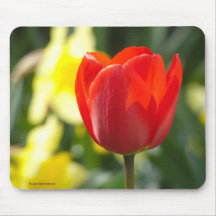Red Tulip | Flower Photography Mousepad