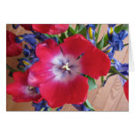 Red Tulip II cards