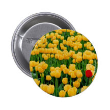 Red Tulip in a Yellow Tulip Field Button