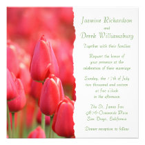 Red Tulip Invitations invitations