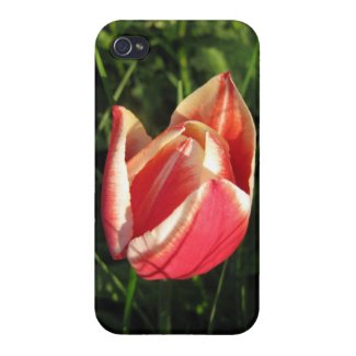 Red Tulip Iphone4 Case Cover iPhone 4 Cover