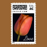 Red Tulip Love Postage Stamp
