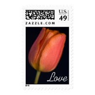 Red Tulip Love Postage Stamp