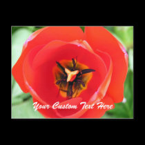 Red Tulip Macro Flower Custom text Postcard postcards