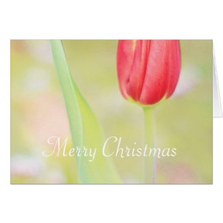 Red tulip merry Christmas greeting card