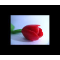 Red Tulip mousepad