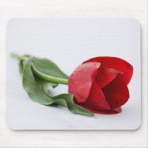 red tulip mousepads