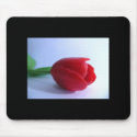 Red Tulip mousepads by Regella Red Tulip mousepads