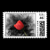 Red Tulip Postage stamps