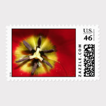 Red Tulip Postage postage